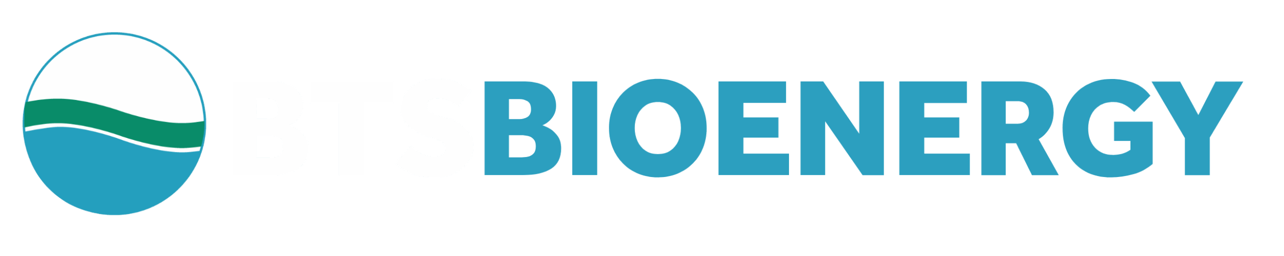 Bts white logo