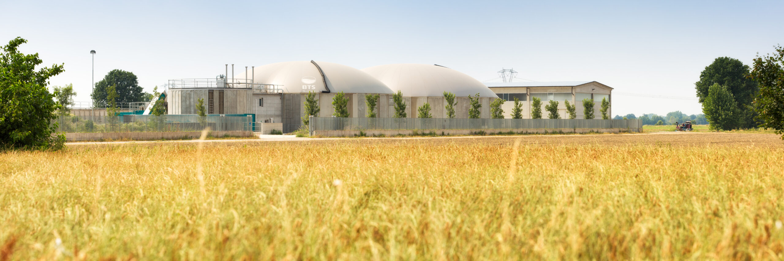 Wheat field with a tan BTS Biogas plant in the background