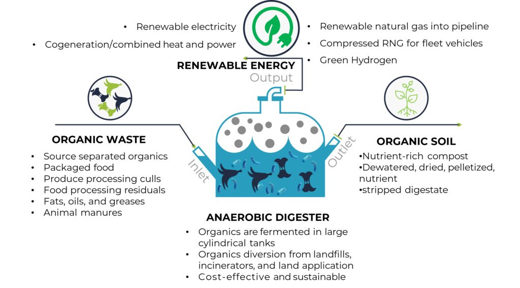 Diagram of How Anaerobic Digestion Works