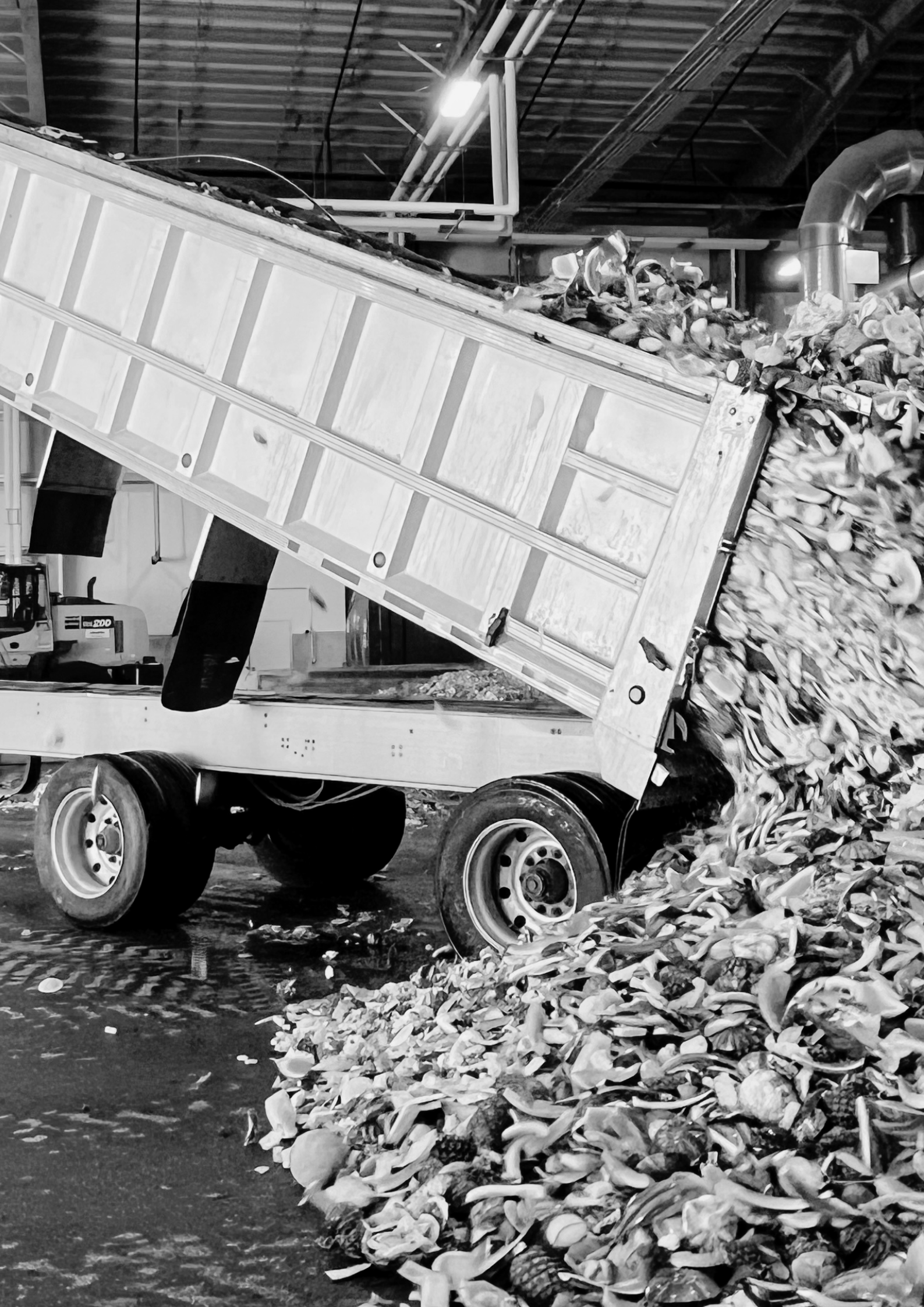 truck dumping expired watermelon on to a tipping floor - black and white image